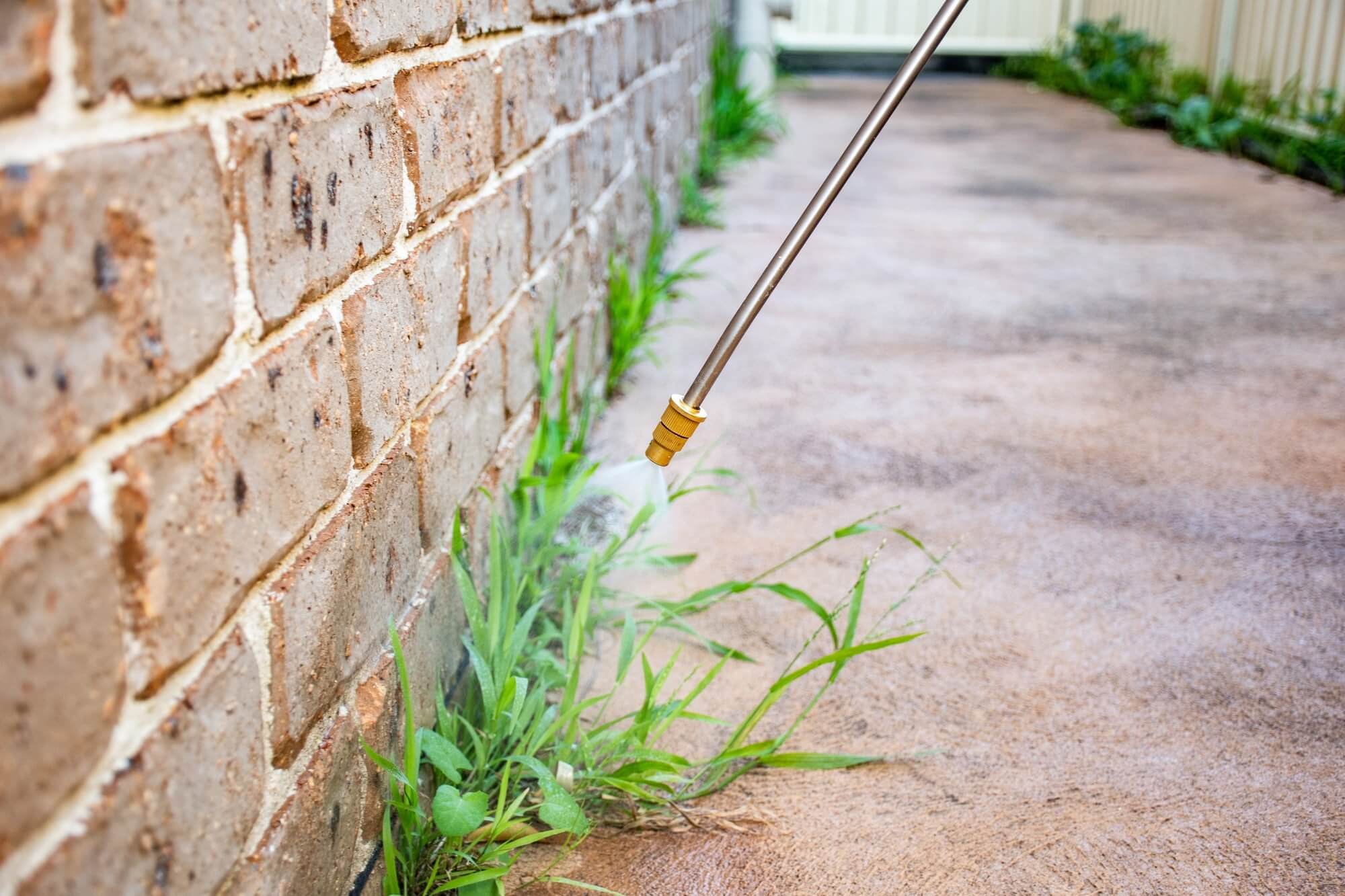 Butter Pest Control technician applying a targeted exterior treatment