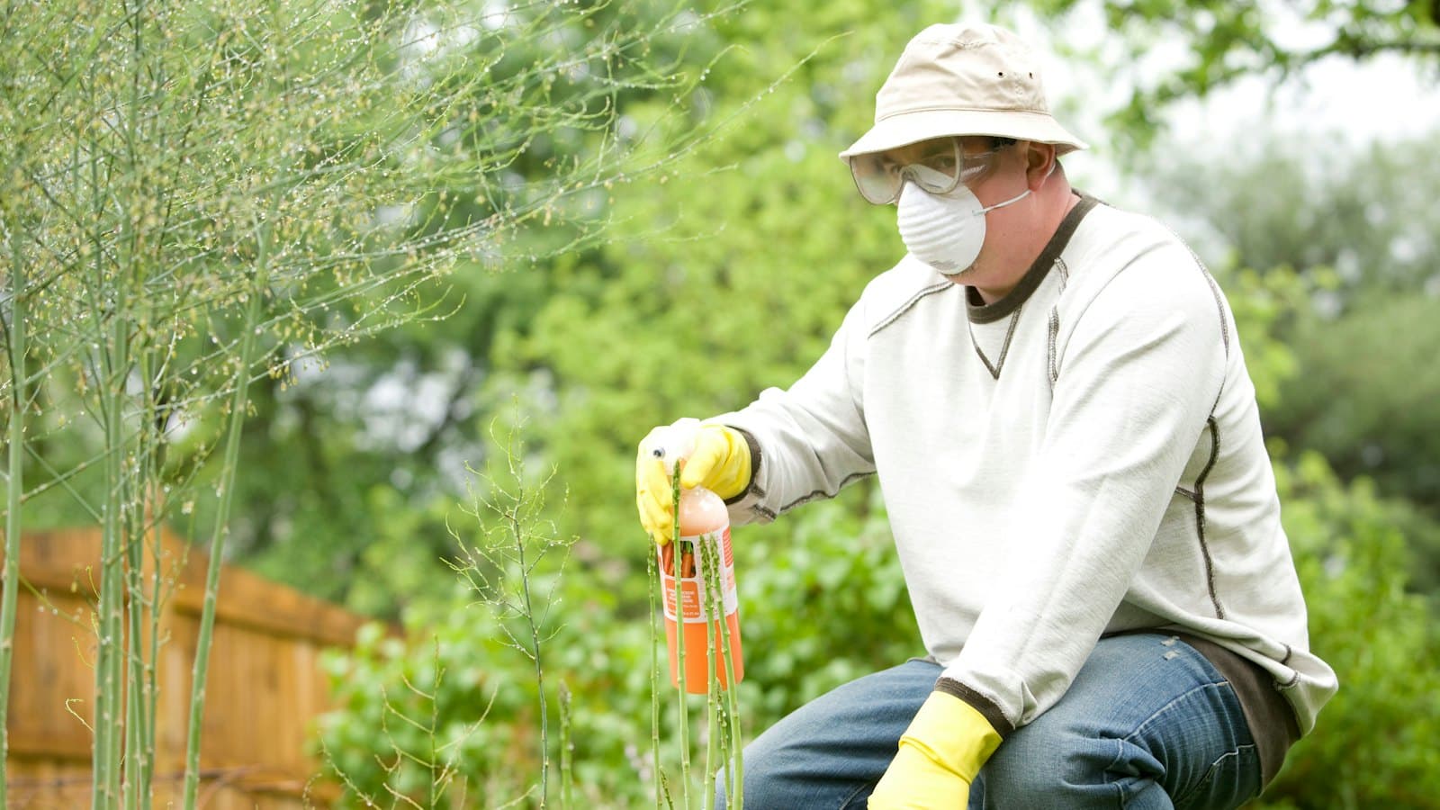 Homeowner in a mask and gloves applying a store-bought product in the garden