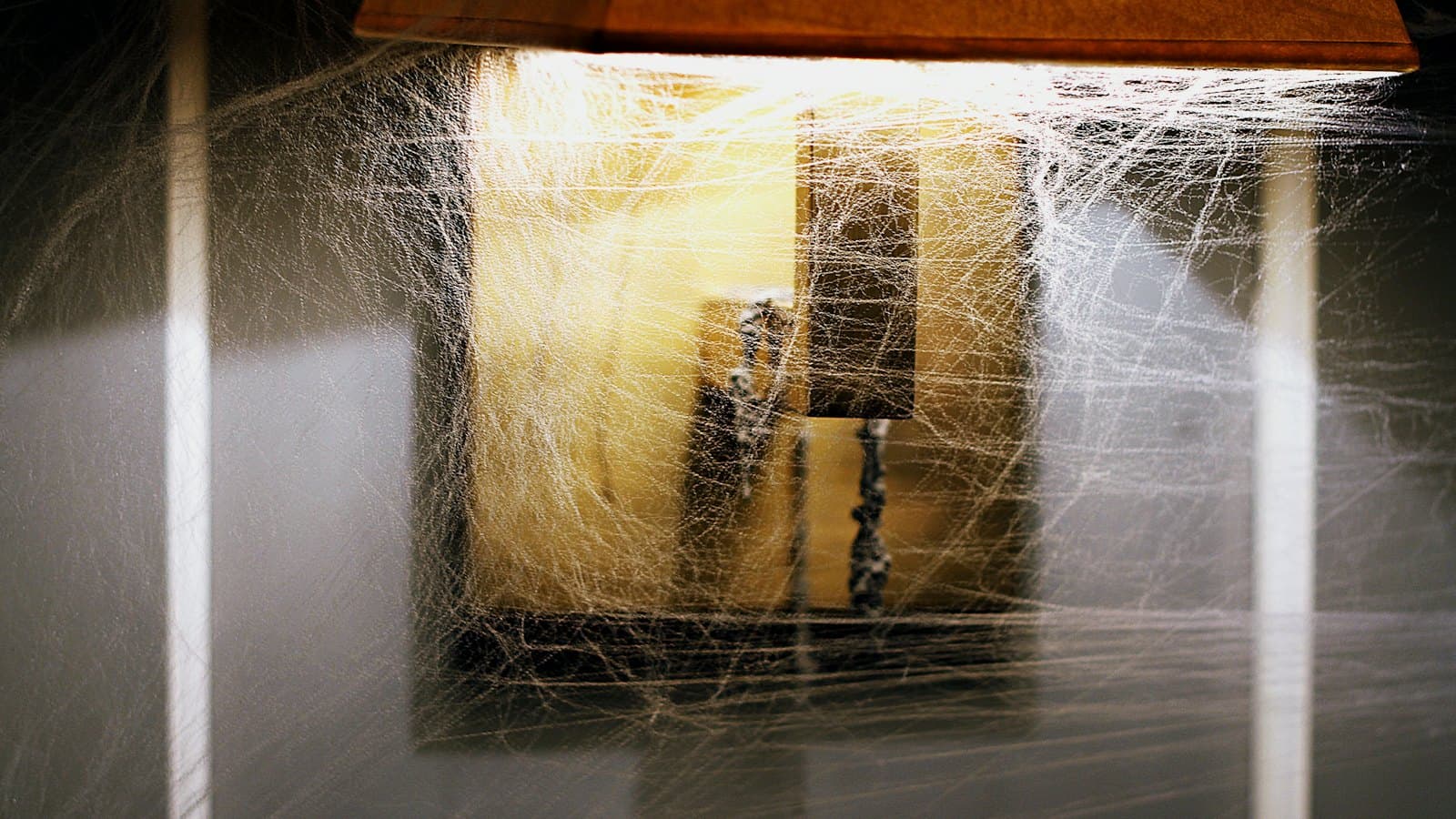 Thick cobwebs built up around a lamp