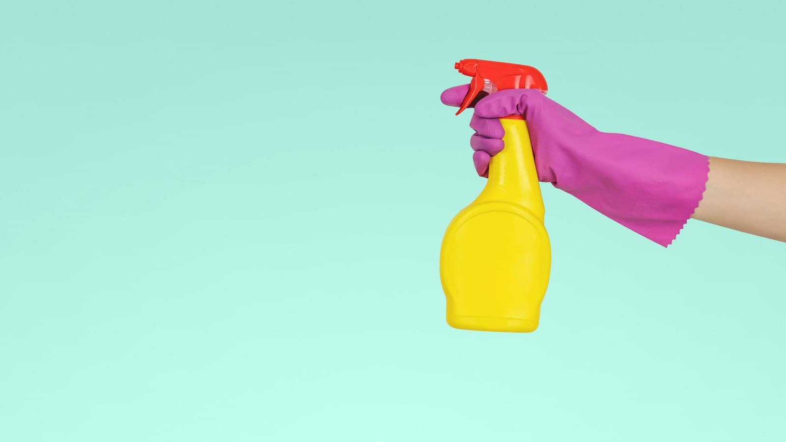 Gloved hand holding a store-bought spray bottle