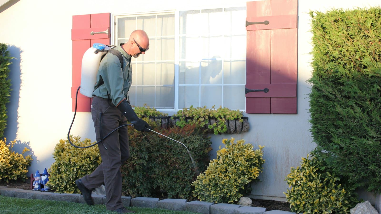 Pest control technician with a backpack sprayer treating the shrubs along the front of a home