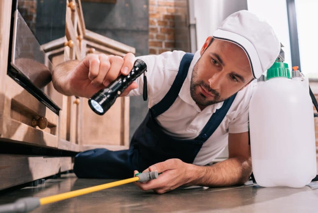 Pest control technician treating a kitchen in a St. George home in spring